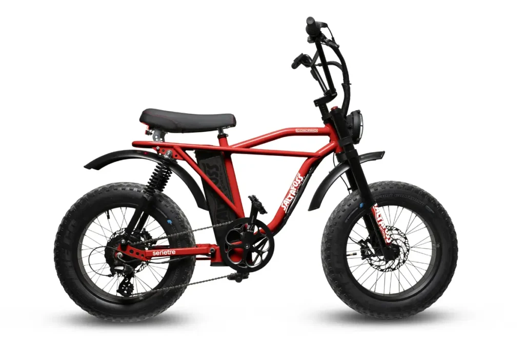 Biycle image editing