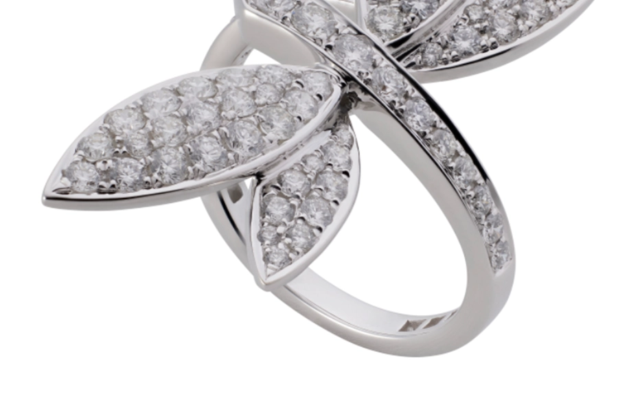 Clean the Background